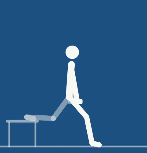 Animated demonstration: a split squat with the rear foot on a bench
