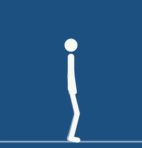 Animated demonstration: a countermovement jump straight up with a soft landing